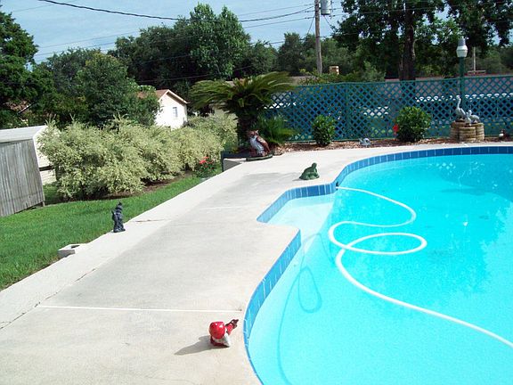 Pool, Ligustrum Hedges 