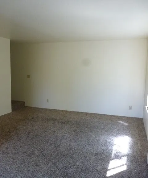 1110 Woodrow Ln — Photo 10
