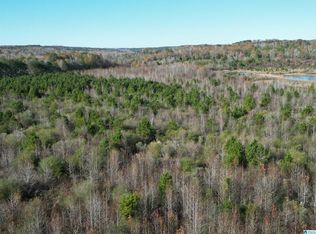 0 County Road 155 #1, Montevallo, AL 35115