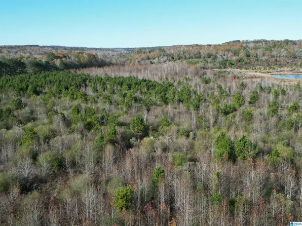 0 County Road 155 #1, Montevallo, AL 35115