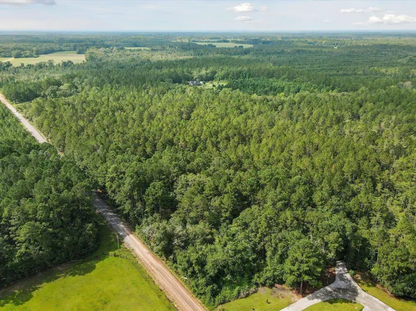 4 Buie Driggers Rd, Brooklet, GA 30415