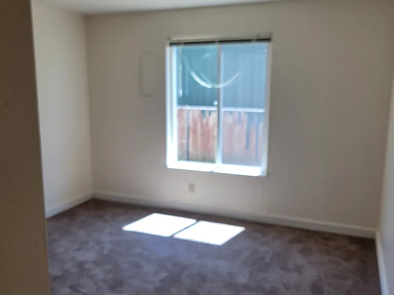 Pine Crest Apartments — Photo 7