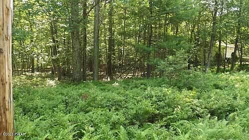 2nd image of 8 Ridge Rd