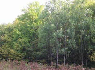 Mount Frederick Rd, Gaylord, MI 49735