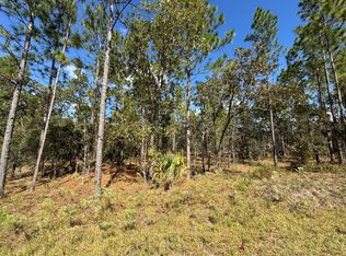 NW Amberjack Ave LOT 55, Dunnellon, FL 34431