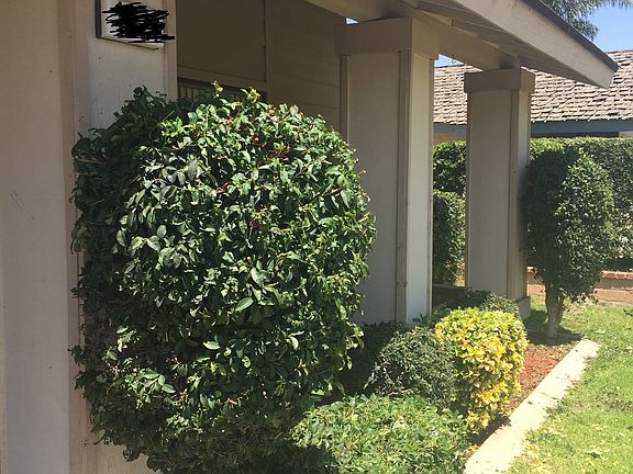 3rd image of 1971 El Dorado Ave