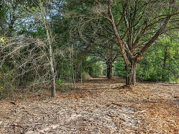3rd image of 5163 County Road 358 Rd