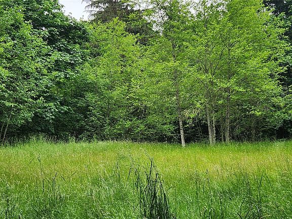 2nd image of 2536 Deer Park Road