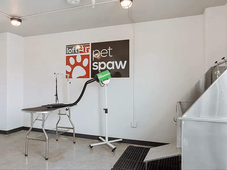 LOFT 205 Apartments — Photo 6