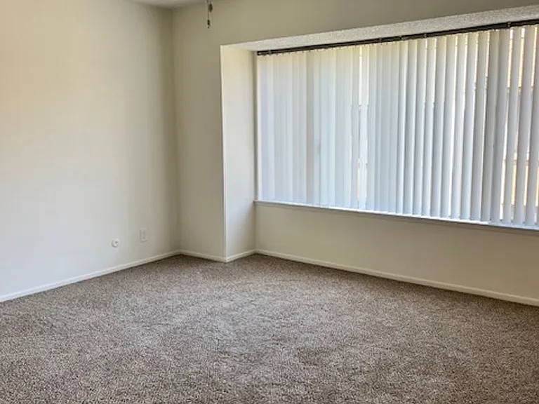 1347 Iguana Cir — Photo 11