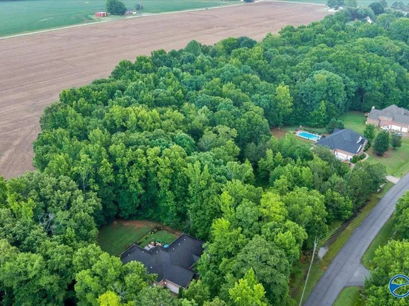 113 Whitfield Dr, Toney, AL 35773
