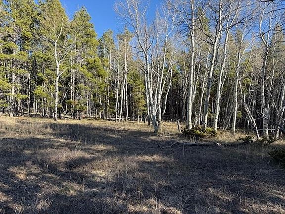 5th image of 6.44 Acres Trail Rd