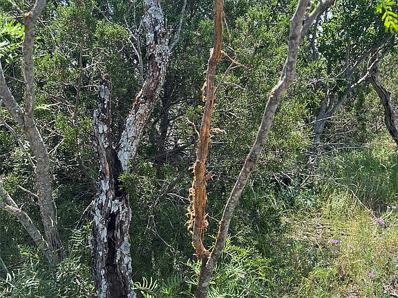 4th image of County Road 450