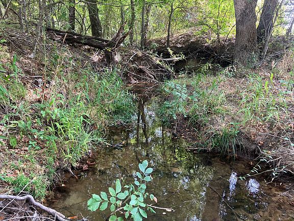 5th image of County Road 4758