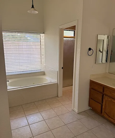 Jacuzzi soaking tub with separate toilet and shower