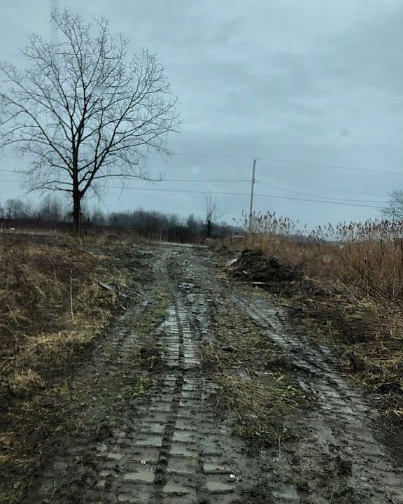 2nd image of 1529 March Rd