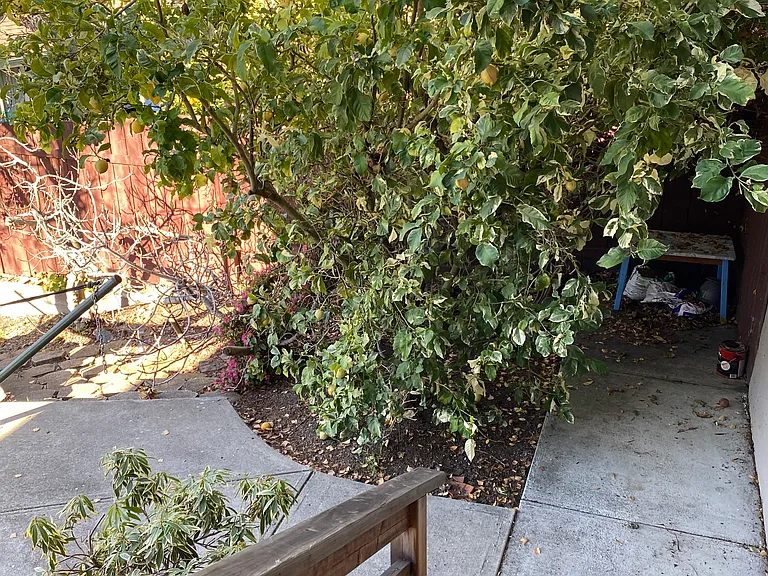 Ralston Ave — Photo 11