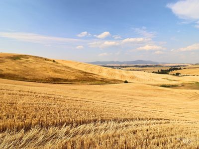 0 Murphy Ln LOT 1, Moscow, ID, 83843