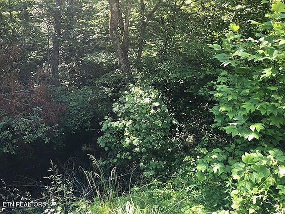 2nd image of Street Place Loop