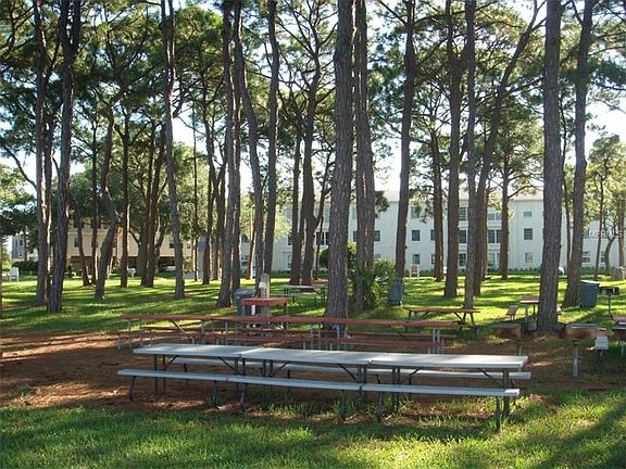4th image of 2700 Bayshore Blvd APT 3101