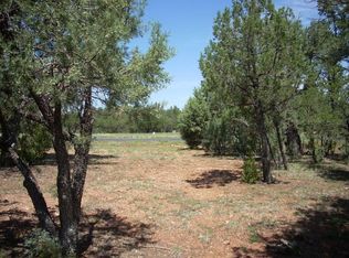 2836 Thunderbird Way, Overgaard, AZ 85933