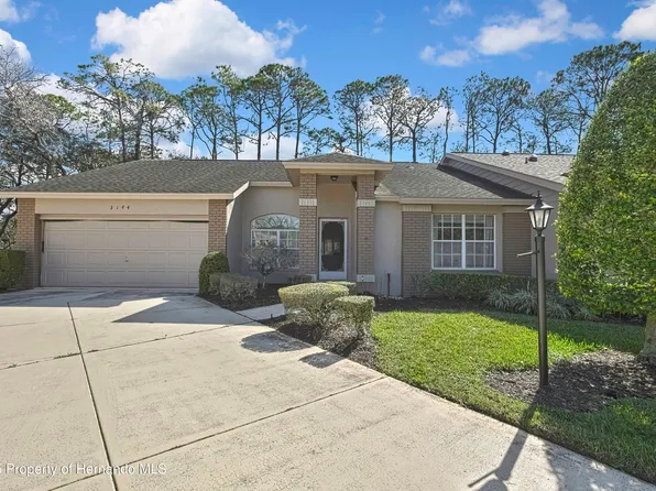 3144 Whispering Pines Ct, Spring Hill, FL 34606