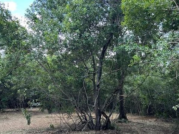 County Road 307 #307-LOT 2, Navasota, TX 77868