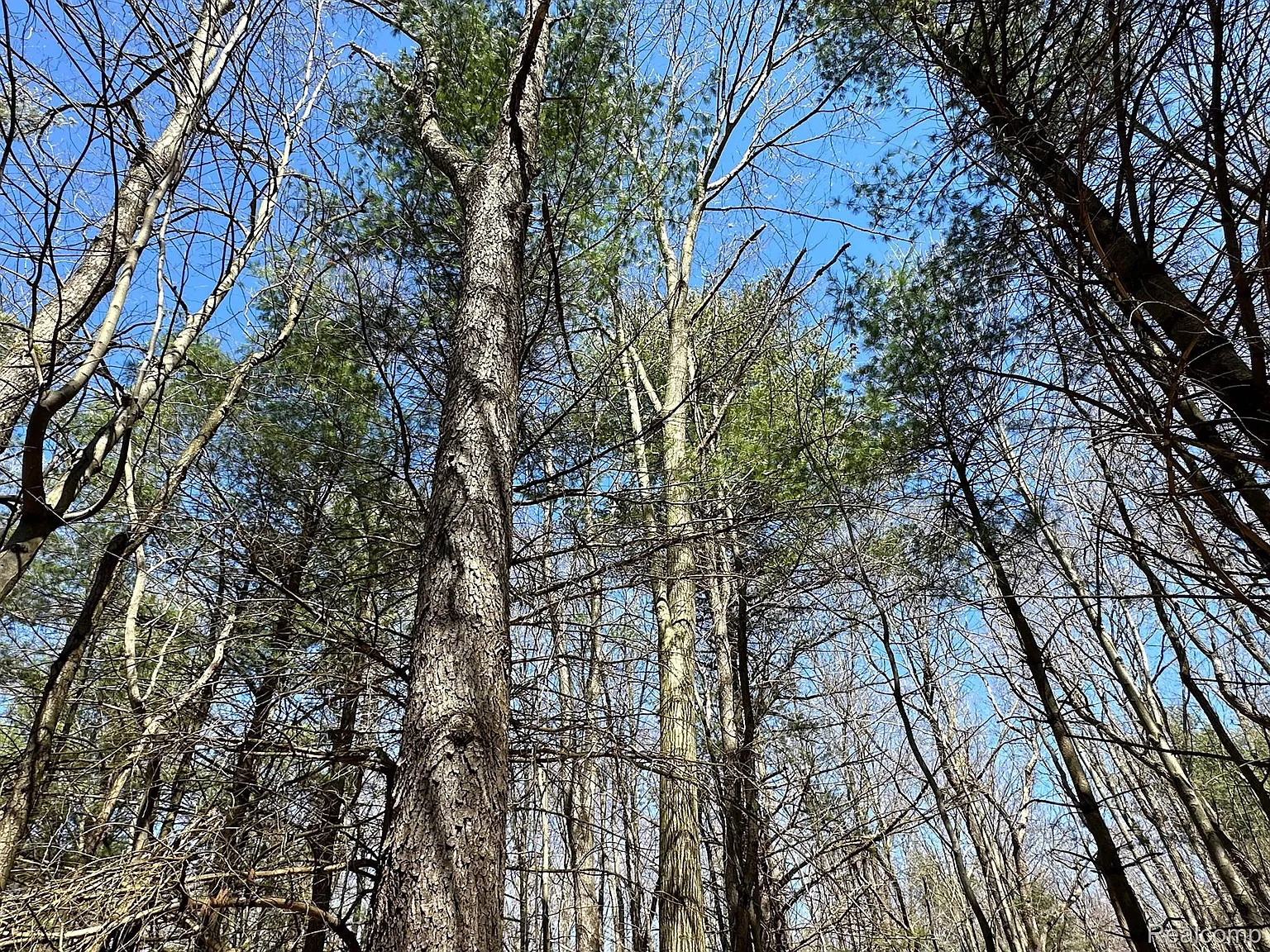 2.02 Acres Vl photo 1