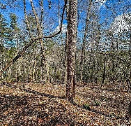 5th image of 0 T S Jarrard Rd