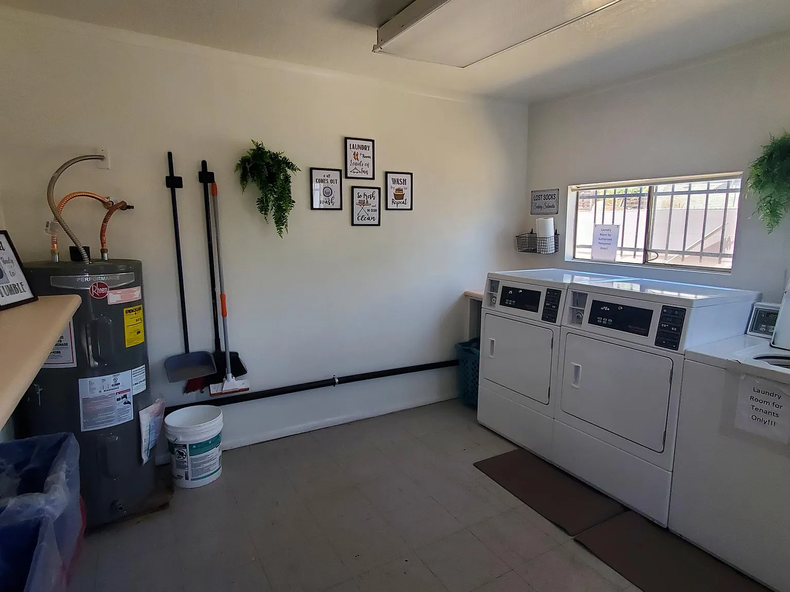 2 bed, 800 sqft, $1,250 — Photo 4