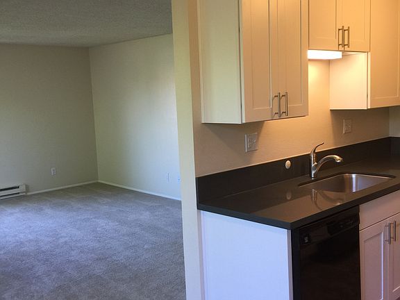 kitchen / living room