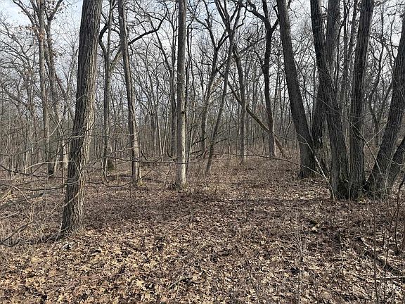 4th image of 2+/- Acres Biggs Road