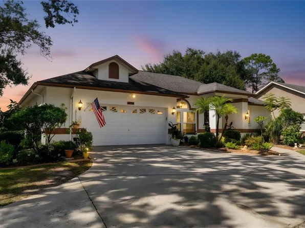 22938 Sterling Manor Loop, Lutz, FL 33549