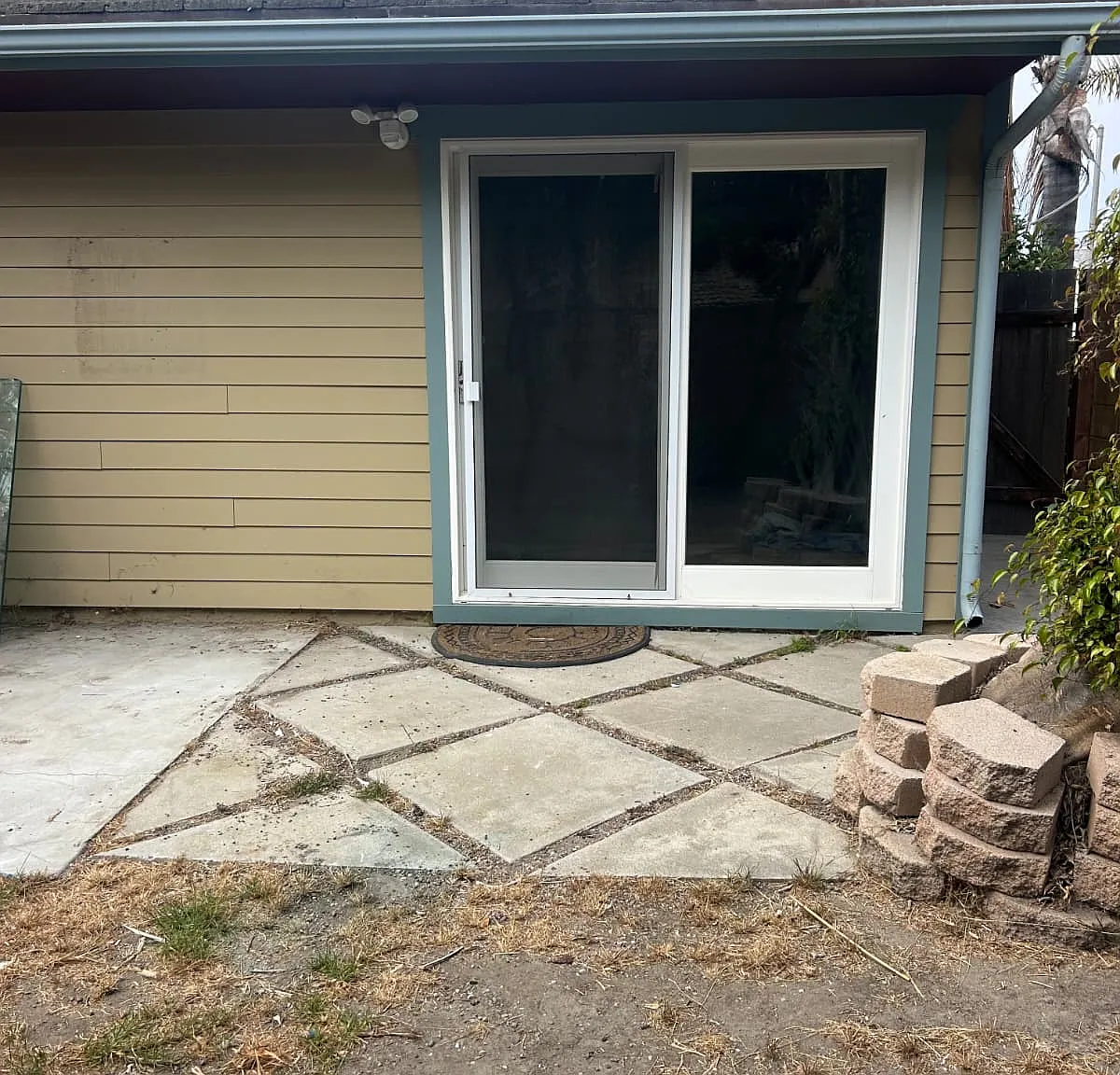 1 bed, 540 sqft, $2,500 — Photo 3