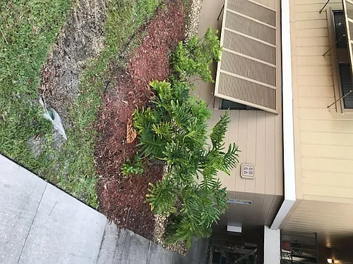 6A Orchid Woods Ct Photo 1