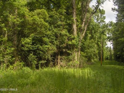 0 Stokes Bluff Rd, Garnett, SC, 29922