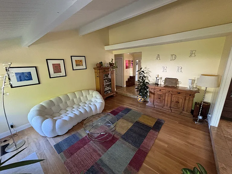 294 Albert Dr — Photo 8