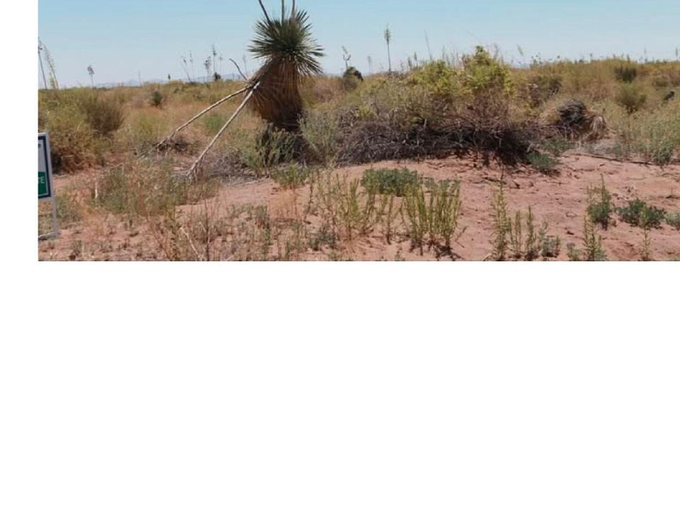 2nd image of 0 Paintbrush Rd SW