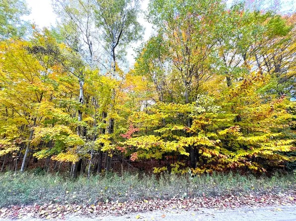 LOT 16 Trout Creek Rd, Cheboygan, MI 49721