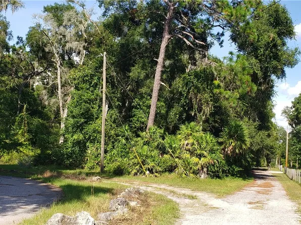8407 S Clark Wise Ter, Floral City, FL 34436