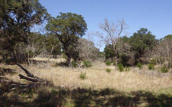 4th image of 1736 Canyon Lake Dr