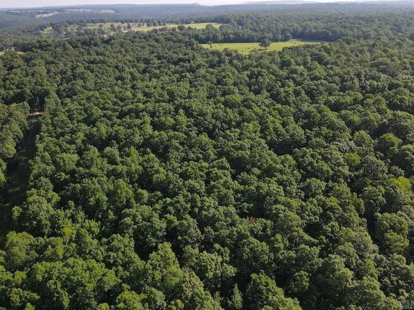 (undisclosed Address), Harrison, AR 72601