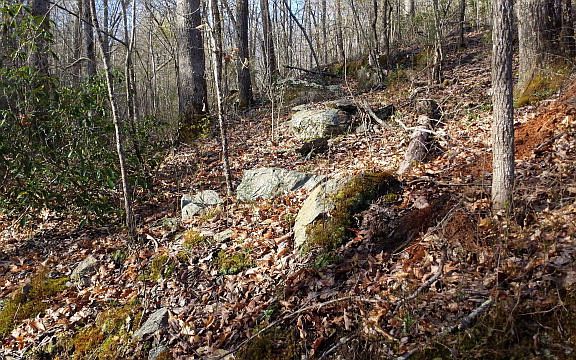 2nd image of 360 Grove Ln