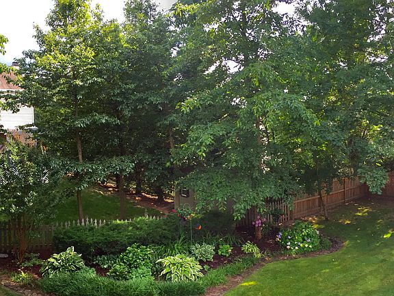 Backyard left garden