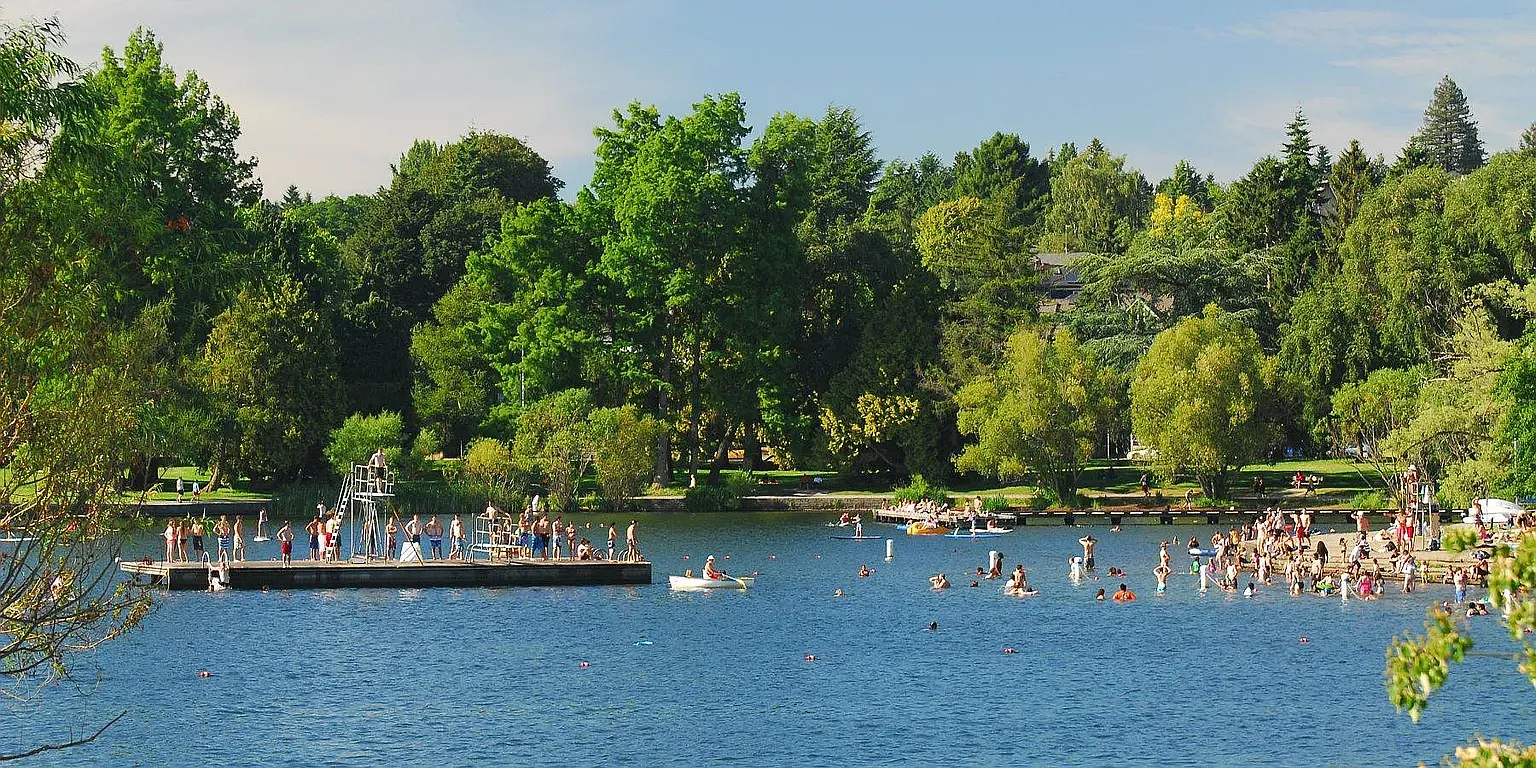 Greenlake South Shore — Photo 3
