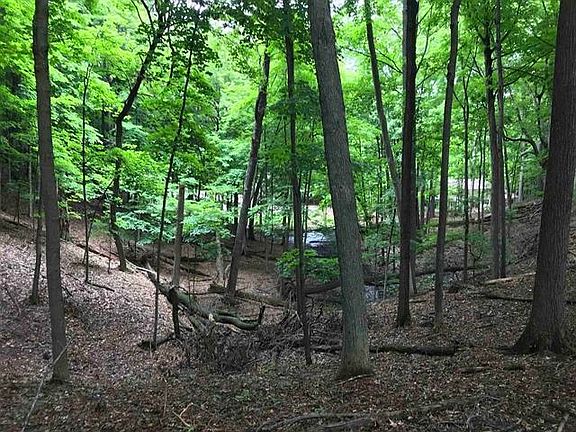 5th image of Edgewood Ln