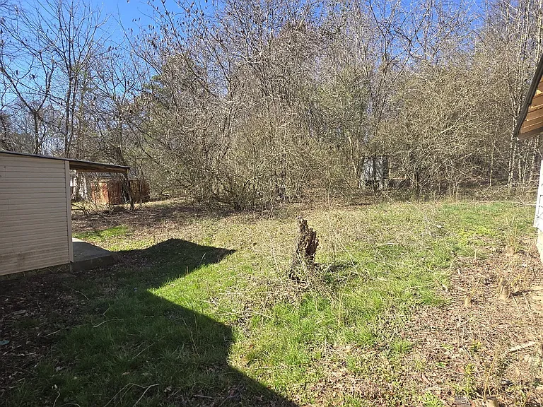 111 Owens Rd — Photo 5
