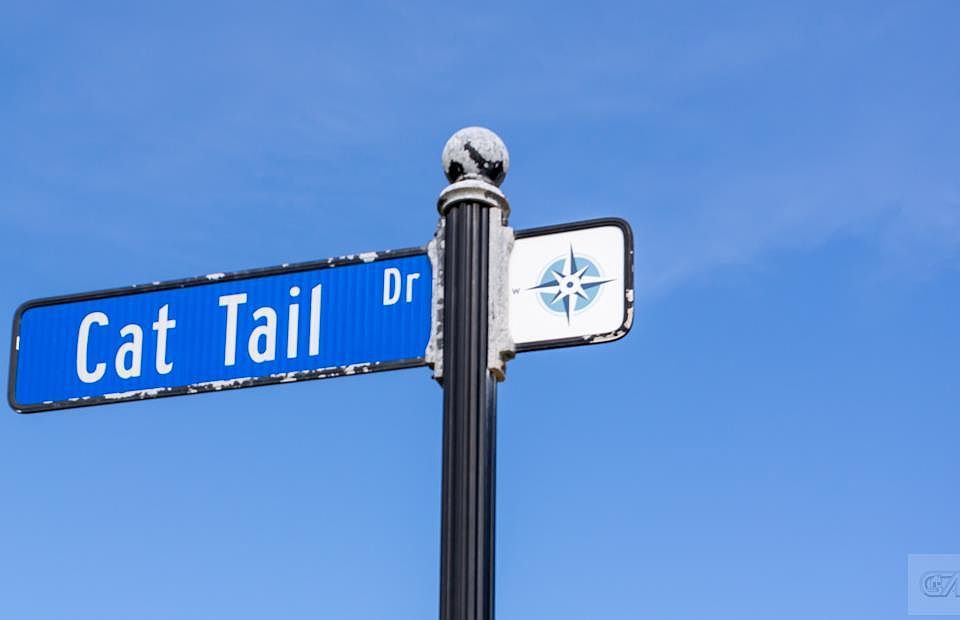 1st image of 26441 Cat Tail Dr