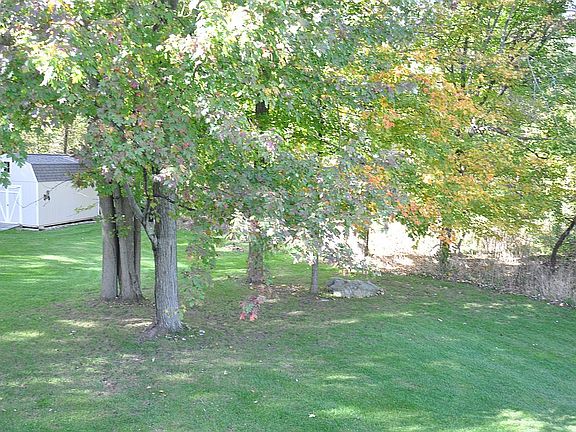 Large Back Yard