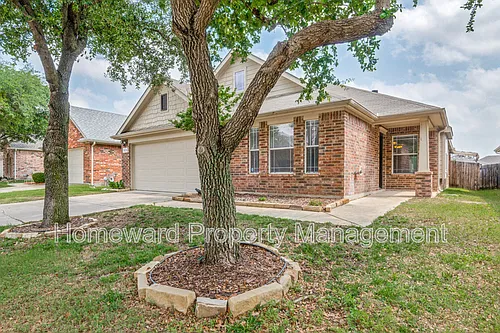11728 Netleaf Ln Photo 1